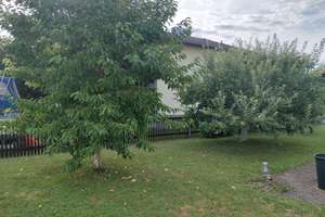 Einfamilienhaus in Ingolstadt-Südwest/Antonviertel  – Die vollständige Adresse der Immobilie erhältst du vom Anbieter., 85051 Münchener Straße, Ingolstadt – Vorschaubild 2