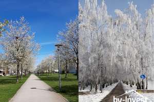 Property thumbnail 19