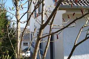 Einfamilienhaus in sonniger, bevorzugter Wohnlage – Main-Tauber-Kreis – Vorschaubild 22