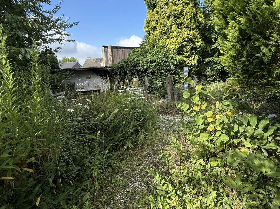 Garten mit Blick zum Haus