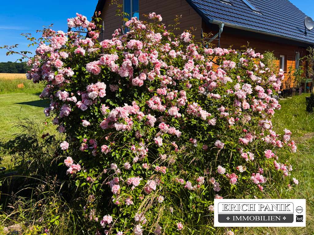 Immobilie in Lalendorf - Einfamilienhaus mit 6 Zimmern, 5.400 m² Grundstück, Ausbaureserve & freiem Weitblick – Lalendorf - Bild 1