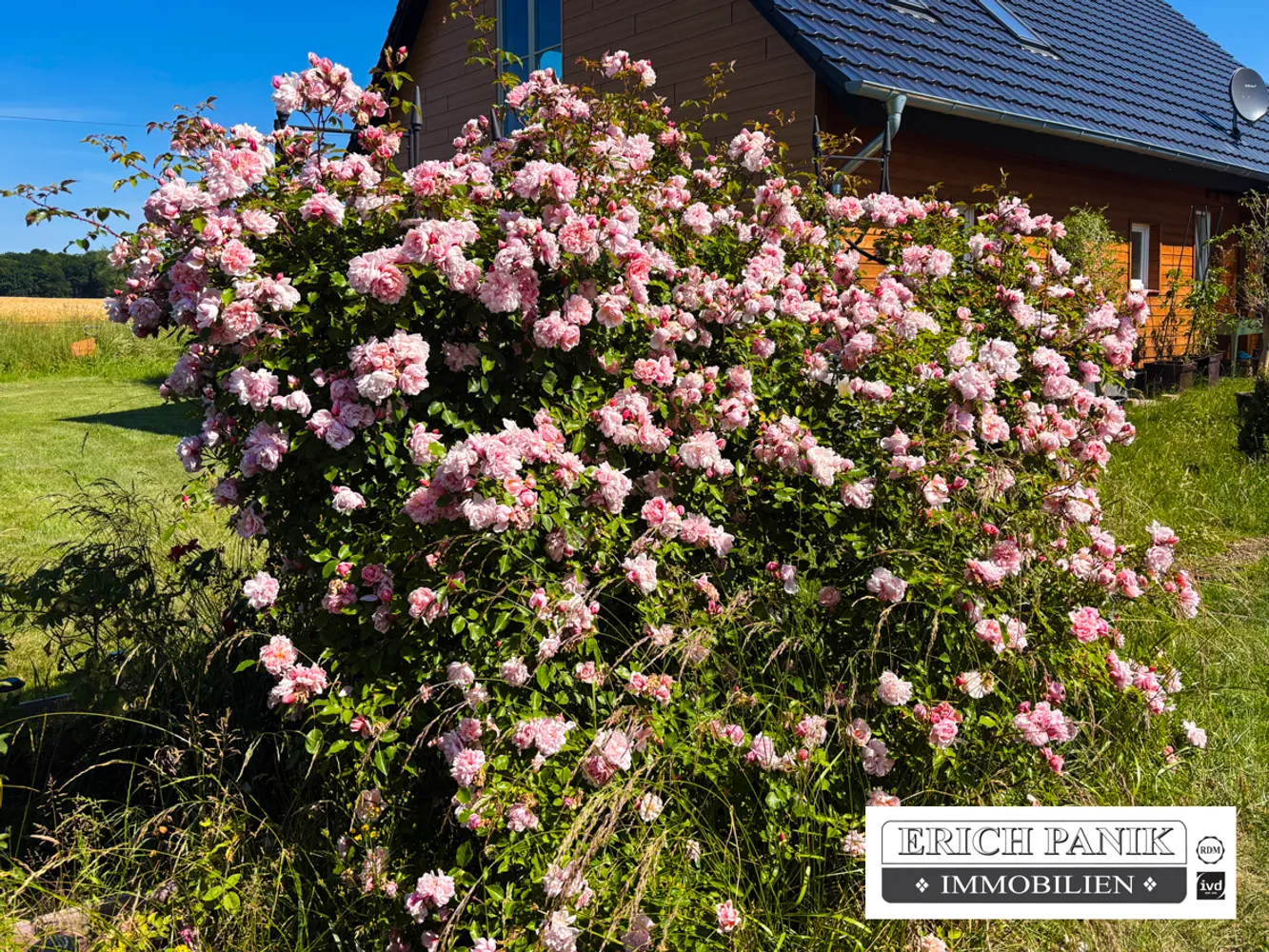 Einfamilienhaus mit 6 Zimmern, 5.400 m² Grundstück, Ausbaureserve & freiem Weitblick – Lalendorf, Rostock Kreis – Bild 4