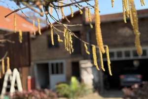 Property thumbnail 53