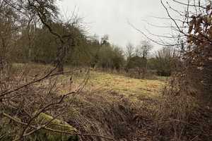 Aufwendig sanierter Altbau auf großzügigem Grundstück- charmantes wohnen in Kall-Rinnen! – Euskirchen (Kreis) – Vorschaubild 2