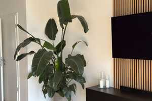 Möblierte 2-Zimmer-Neubauwohnung mit zwei Balkonen – Schwogenstraße 38, 41063 Mönchengladbach – Vorschaubild 3