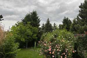 !!! Freistehendes EFH mit viel Wohnfläche u. Grundstück + Outdoorpool, sucht neuen Besitzer !!! – Saalekreis – Vorschaubild 58