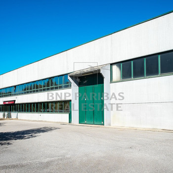 Lagerhalle mit großzügiger Freifläche