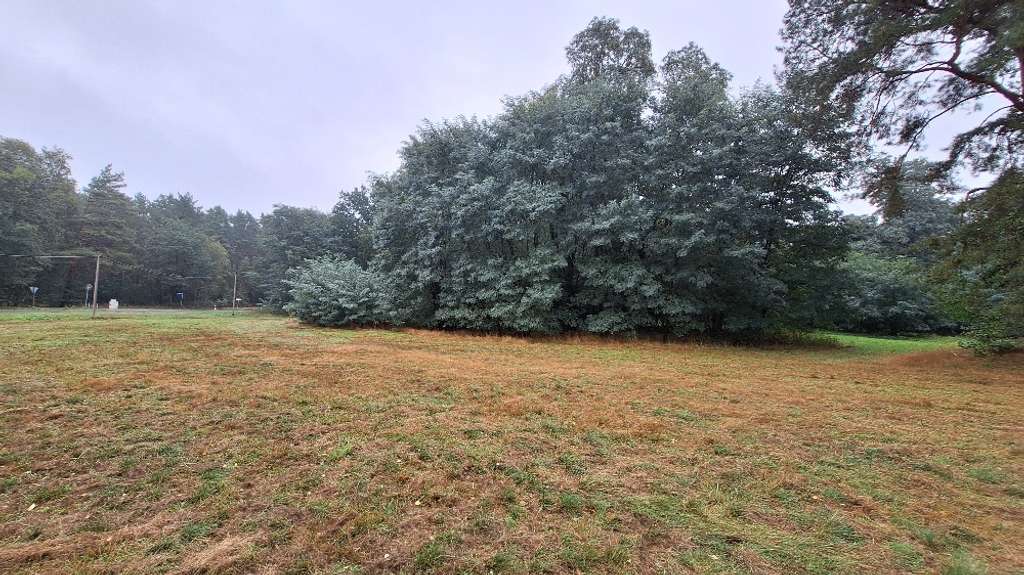 Wald- und Forstfläche in Elbe-Parey OT Zerben zu verkaufen…