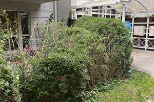 Am Luitpoldpark - Appartement mit Gartenterrasse – Schleißheimer Straße 280, 80809 Am Luitpoldpark, München – Vorschaubild 10