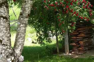Seminarhaus mit traumhaften Belchenblick: 2-Familienhaus mit grossem Garten in Elbenschwand – Elbenschwander Ortsstraße 9, 79692 Lörrach (Kreis) – Vorschaubild 7