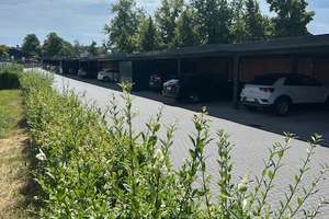 Gartenparadies inklusive: Komfortable 4-Zimmer Wohnung mit toller Einbauküche  und zwei Carport – Die vollständige Adresse der Immobilie erhältst du vom Anbieter., 38442 Ehmen, Wolfsburg – Vorschaubild 44