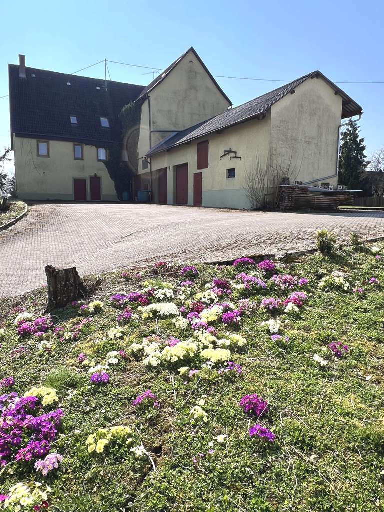 Immobilie in Starzach - Wohnhaus mit Scheune, Garagen u. großem Hof - Bild 4