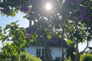 PREIS AKTUELL REDUZIERT! FELDRANDLAGE! ERDWÄRME & KAMIN & FUSSBODENHZG. & SAUNA – Ostvorpommern (Kreis) – Vorschaubild 11