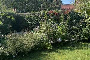 Charmante Doppelhaushälfte mit Atelier und schönem Garten in begehrter Toplage – Ingolstadt – Vorschaubild 26
