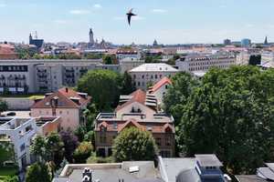 Lichtdurchflutete Dachgeschosswohnung mit einer 27 m² großen Terrasse – Leipzig – Vorschaubild 13