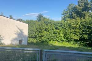 Wunderschönes großes Haus mit einem Bach – 89438 Holzheim – Vorschaubild 6