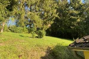 Besonderes Haus mit fantastischer Aussicht – Bitburg-Prüm (Kreis) – Vorschaubild 28
