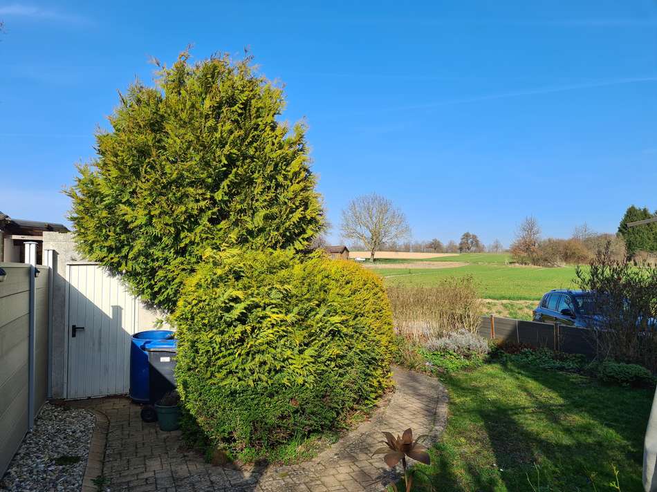 Frühjahr