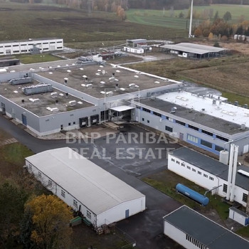 Preiswerte Lager- / Produktionsflächen in Bad Schmiedeberg zu vermieten