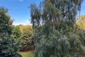 Helle 2-Zimmer Wohnung mit Balkon in Berlin-Prenzlauer Berg – Einsteinstr. 16b, 10409 Prenzlauer Berg, Berlin – Vorschaubild 5