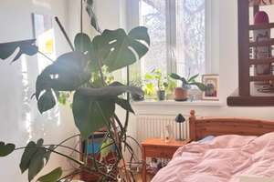 Leerstehende 2 Zimmerwohnung in Leutzsch mit Südbalkon zu verkaufen! – Die vollständige Adresse der Immobilie erhältst du vom Anbieter., 4179 Leutzsch, Leipzig – Vorschaubild 21