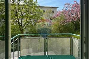 Idyllische 2,5 Zi-Whg am Eselsberg mit Balkon – Die vollständige Adresse der Immobilie erhältst du vom Anbieter., 89075 Eselsberg, Ulm – Vorschaubild 5