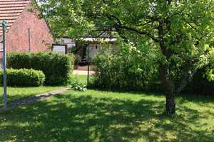 Einfamilienhaus mit großem Garten von privat – Steinauer Straße 38, 36396 Main-Kinzig-Kreis – Vorschaubild 5