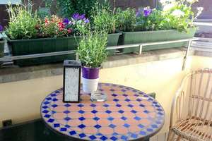 Property thumbnail 23