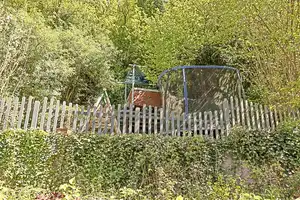 Gepflegtes Einfamilienhaus mit idyllischem Garten und Stellplatz – Ahrweiler (Kreis) – Vorschaubild 27