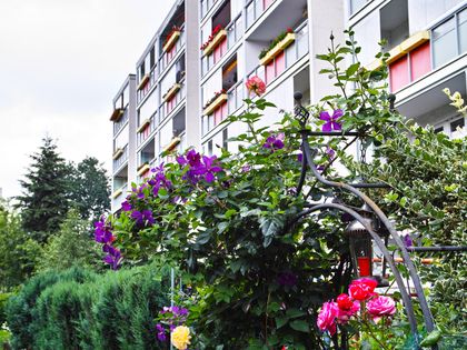 Wohnung Mit Keller Mieten In Biesdorf Immobilienscout24