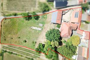 Ehemaliges Hofgut mit Nebengebäude – Die vollständige Adresse der Immobilie erhältst du vom Anbieter., 67591 Mölsheim – Vorschaubild 50