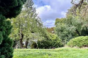 Ein Erdgeschoß mit Wassergrundstück! – Hauptstraße 9, 15864 Diensdorf-Radlow – Vorschaubild 21
