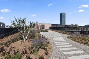 Exklusives 4 Zimmer Penthouse mit gemeinschaftlicher Dachterrasse – Hanauer Straße 8, 80992 Alt-Moosach, München – Vorschaubild 13