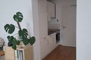 Hochwertige 1-Zimmer-Wohnung mit Garten und Tiefgaragenstellplatz im inneren Westen Regensburgs – Wilhelmstrasse 18, 93049 Westenviertel, Regensburg – Vorschaubild 5