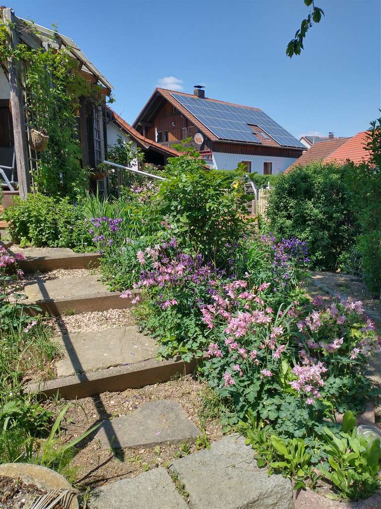 Immobilie in Pfakofen - Einfamilienhaus in der südlichen Oberpfalz (Bayern) zu verkaufen - Bild 3