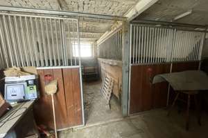Charmanter Resthof mit vielseitigen Nutzungsmöglichkeiten und Weidefläche für Pferdehaltung – Die vollständige Adresse der Immobilie erhältst du vom Anbieter., 53937 Schleiden – Vorschaubild 25