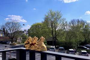 Edel: Wohnen mit Blick in den Wiesengrund – Espanstraße 5, 90765 Poppenreuth, Espan, Fürth – Vorschaubild 17