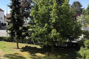 Tolle 3 Zimmer Wohnung mit Loggia* großer Küche* Stellplatz – Die vollständige Adresse der Immobilie erhältst du vom Anbieter., 85053 Südost, Ingolstadt – Vorschaubild 5