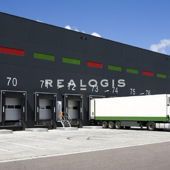 PROVISIONSFREI: Ca. 10.000 qm Neubau Logistik | Rampe + ebenerdig | 10 m UKB !