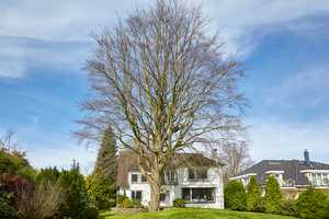 Property thumbnail 27