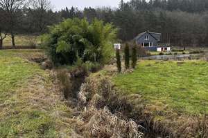 Naturidylle in Alleinlage, 4,7 ha – 55481 Kirchberg im Wald – Vorschaubild 22
