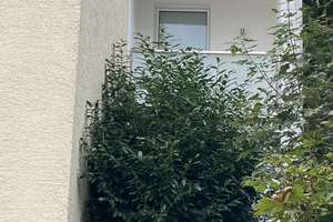Helle Etagenwohnung mit Loggia – Die vollständige Adresse der Immobilie erhältst du vom Anbieter., 42107 Elberfeld, Wuppertal – Vorschaubild 5