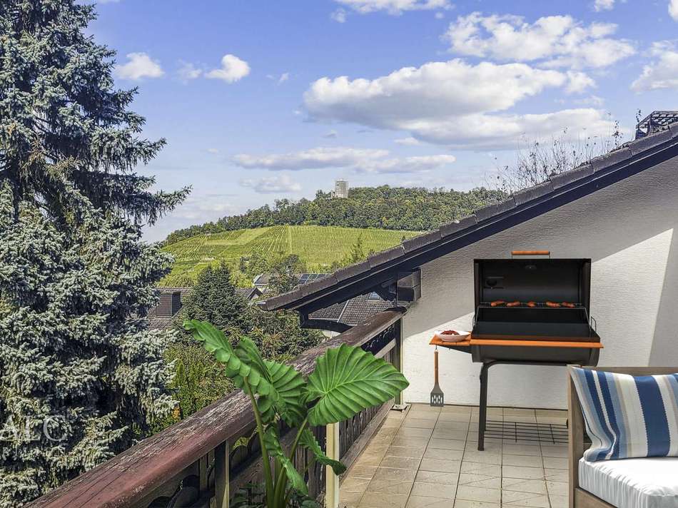 Visualisierung: Turmbergblick