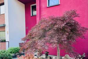 Charmantes Zweifamilienhaus mit privater Gartenidylle – großzügiges Wohnen mit vielen Möglichkeiten – Die vollständige Adresse der Immobilie erhältst du vom Anbieter., 45309 Kray, Essen – Vorschaubild 2