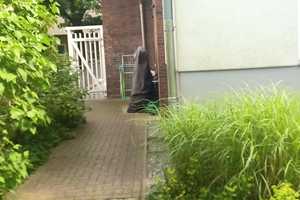 ZWISCHENMIETE: saniertes 5-Zimmer-Einfamilienhaus möbliert ab 01.09.25 bis 31.07.2026 von privat – Hamburg – Vorschaubild 49