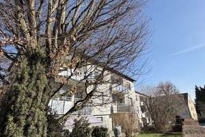 Property thumbnail 17