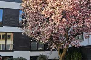 2,5-Zimmer-Apartment in Köln-Junkersdorf – stilvoll wohnen in bester Lage  – Köln – Vorschaubild 1