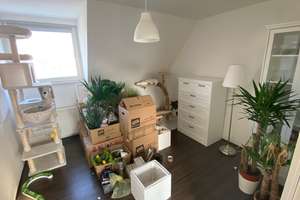 Freistehendes EFH mit viel Potenzial (Einliegerwohnung/Mehrgenerationenhaus) – Die vollständige Adresse der Immobilie erhältst du vom Anbieter., 38159 Vechelde – Vorschaubild 14
