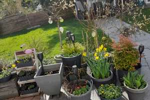 Attraktive 3,5-Zimmer Wohnung im EG mit 200 qm. eigener Garten in Dortmund-Barop an der Bolmke