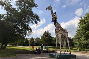 Weitblick inklusive: Helle 2,5-Zimmer-Wohnung nahe Hagenbecks Tierpark